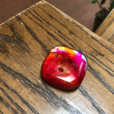 Karen Clark Fused Glass Magnet (Assorted Colors)