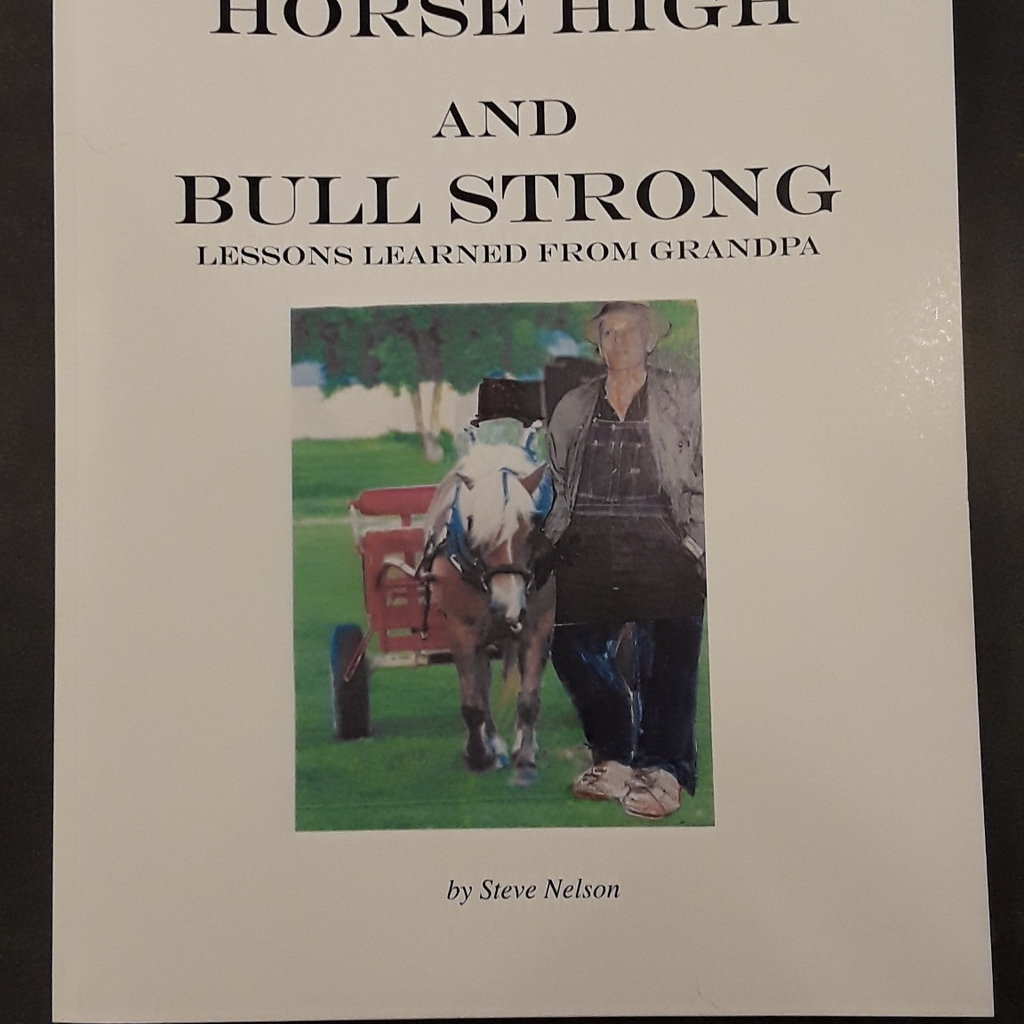 Steve Nelson Horse High and Bull Strong