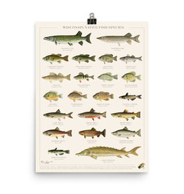 Forward Apparel Company Wisconsin Native Fish Species Poster (18x24)