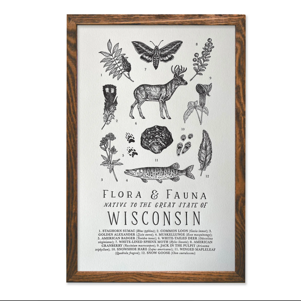 Wisconsin Field Guide Print (11x17)