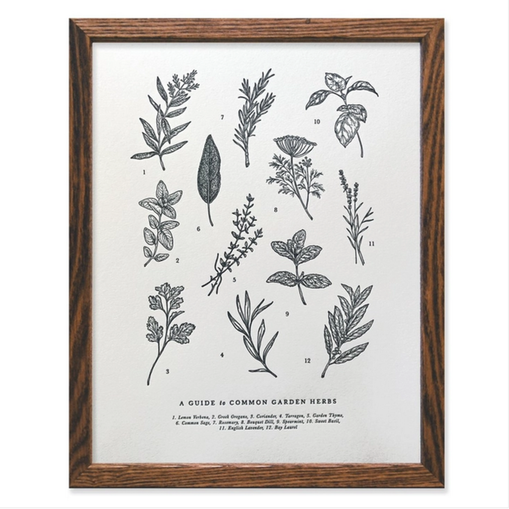 The Wild Wander (Faire) Guide to Garden Herbs Chart (11x14)