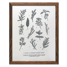 The Wild Wander (Faire) Guide to Garden Herbs Chart (11x14)