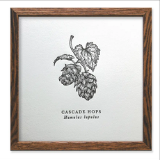 The Wild Wander (Faire) Cascade Hops Letterpress Print (8x8)
