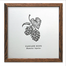 Cascade Hops Letterpress Print (8x8)