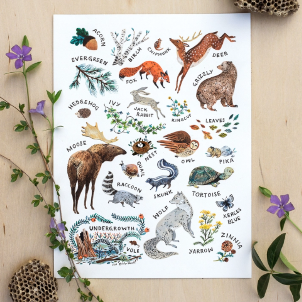 Wildship Studio Woodland Alphabet Art Print: 8x10