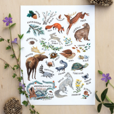 Wildship Studio Woodland Alphabet Art Print: 8x10