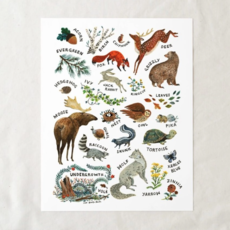 Wildship Studio Woodland Alphabet Art Print: 8x10