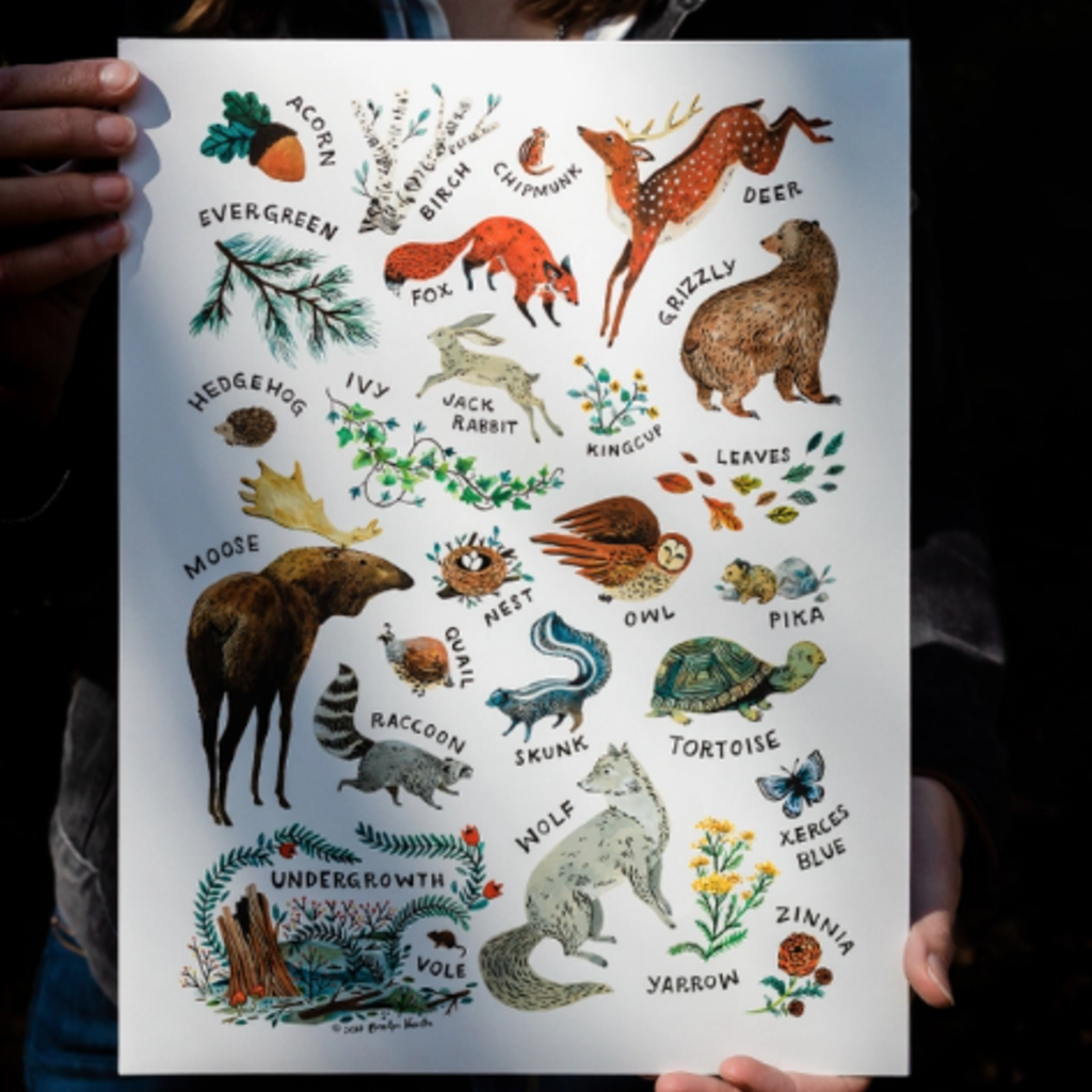 Wildship Studio Woodland Alphabet Art Print: 8x10