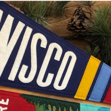 Yoho & Co. Designer Pennants Felt Pennant - Wisco (Flag)