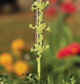 Rain Gauge - Frogs