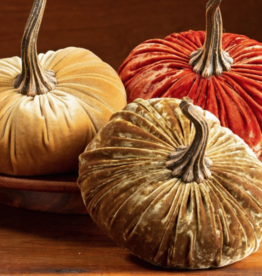 Your Heart's Content Velvet Pumpkin - Large (Assorted)