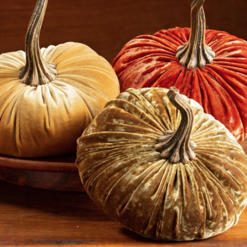 Your Heart's Content Velvet Pumpkin - Large (Assorted)