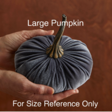 Your Heart's Content Velvet Pumpkin - Large (Assorted)