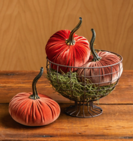 Your Heart's Content Velvet Pumpkin - Small (Assorted)