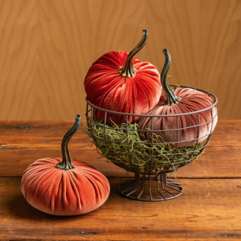 Velvet Pumpkin - Small (Assorted)