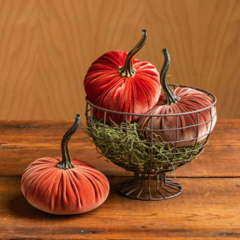 Your Heart's Content Velvet Pumpkin - Small (Assorted)