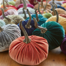 Your Heart's Content Velvet Pumpkin - Small (Assorted)