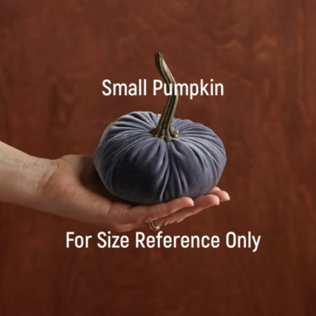 Your Heart's Content Velvet Pumpkin - Small (Assorted)