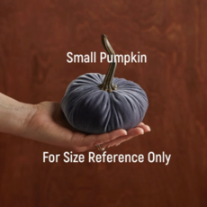 Velvet Pumpkin - Small (Assorted)