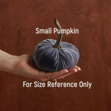 Your Heart's Content Velvet Pumpkin - Small (Assorted)