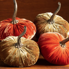 Your Heart's Content Velvet Pumpkin - Small (Assorted)