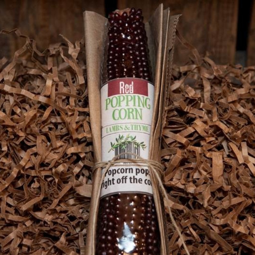 Lambs & Thyme Popping Corn Cob - Red Corn