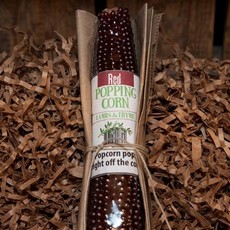 Lambs & Thyme Popping Corn Cob - Red Corn