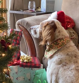 Wisco Cheer Dog Bandana