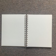Volume One Eau Claire Retro Script Lined Journal: Sky Blue