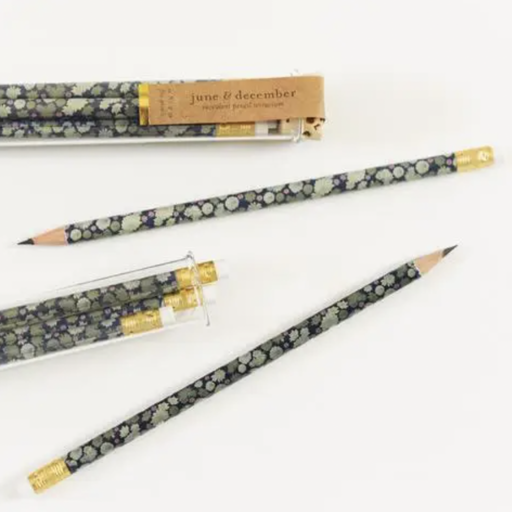 June & December Succulent Pencil Terrarium - Set Of 5