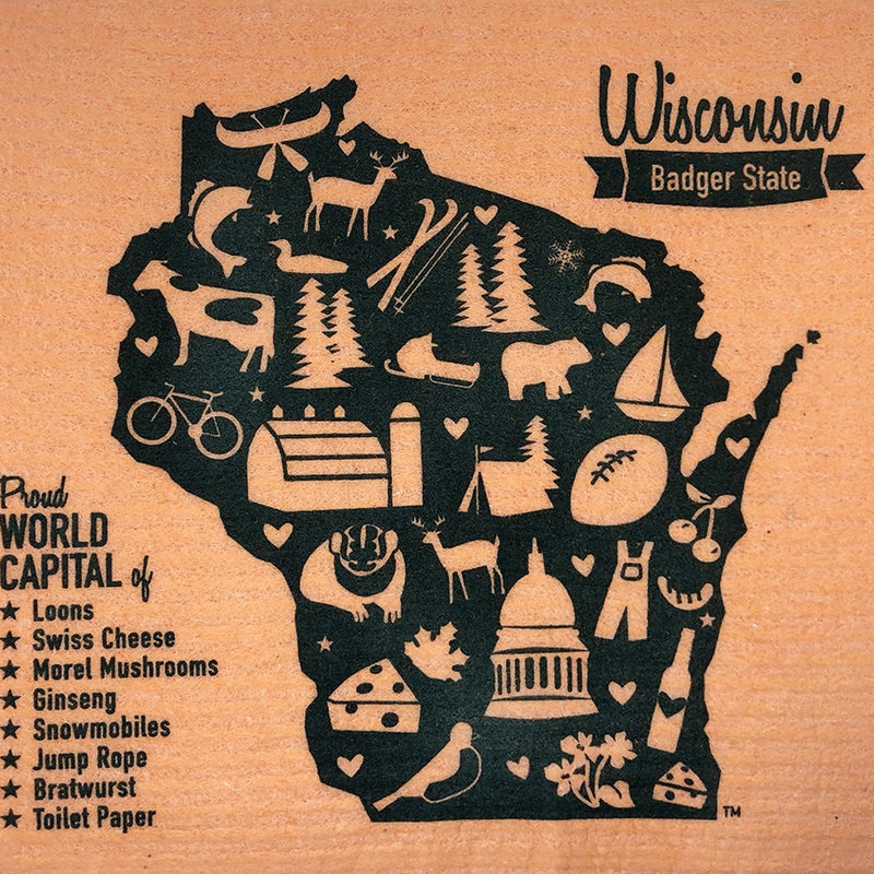 Volume One Swedish Dishcloth - Wisconsin (Orange World Capital)