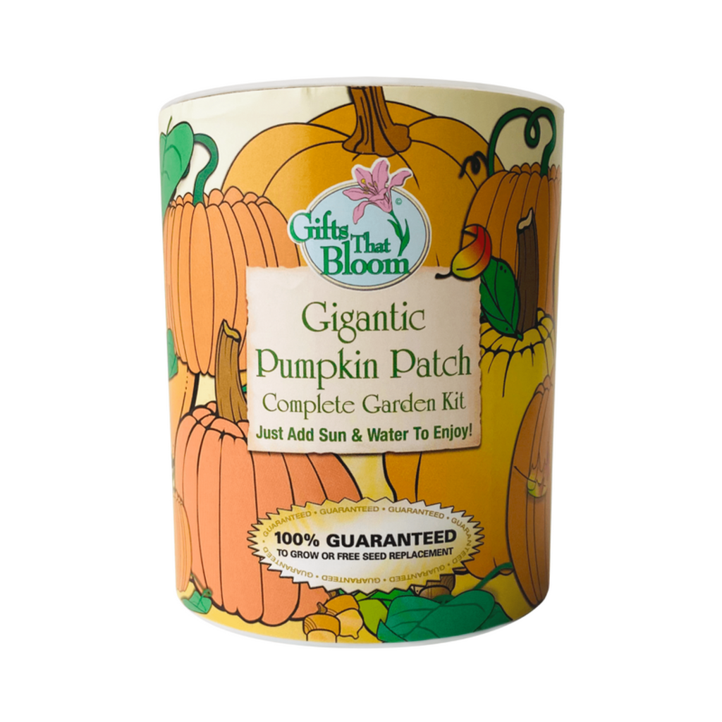 Pumpkin Patch Garden Grow Kit