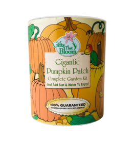 Pumpkin Patch Garden Grow Kit