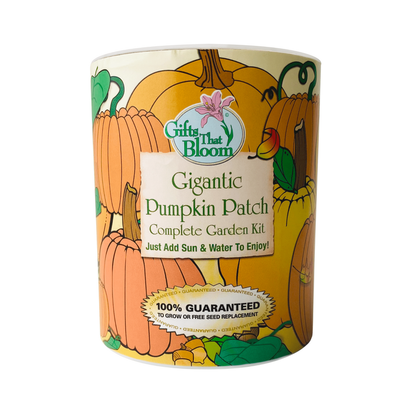 Gifts That Bloom Pumpkin Patch Garden Grow Kit