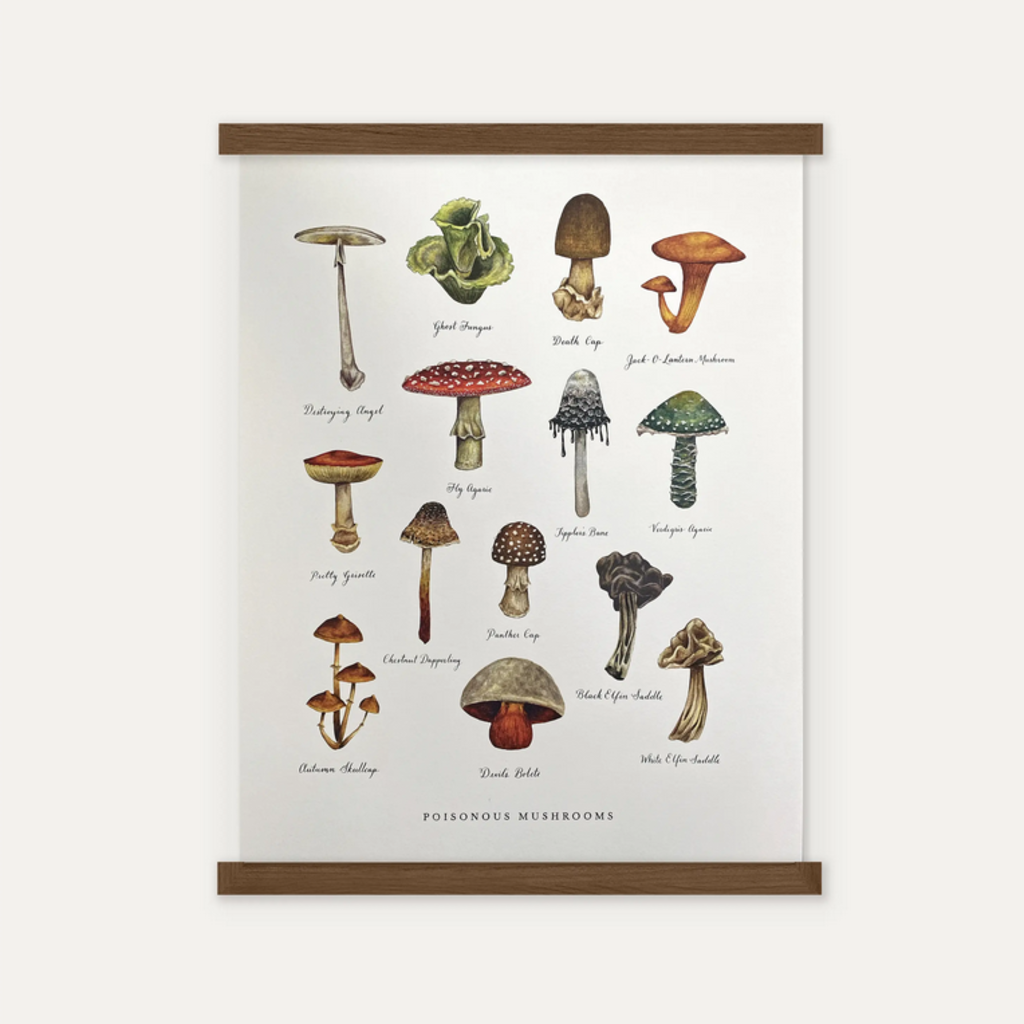 The Wild Wander (Faire) Print - Poisonous Mushrooms