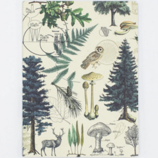 Softcover Lined Notebook (LG): Forest & Trees