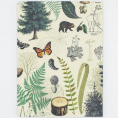 Softcover Lined Notebook (LG): Forest & Trees