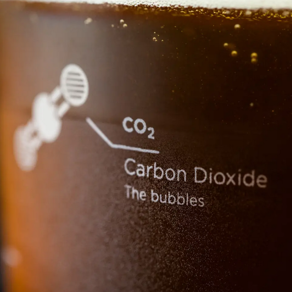 Cognitive Surplus Pint Glass Set: The Science of Beer