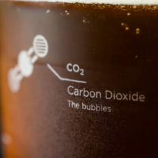 Cognitive Surplus Pint Glass Set: The Science of Beer