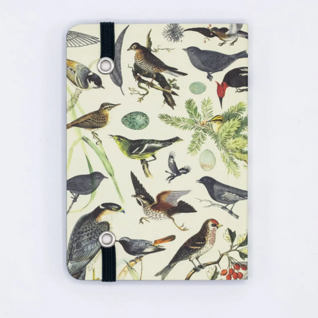 Cognitive Surplus Softcover Notebook: Birds & Feathers