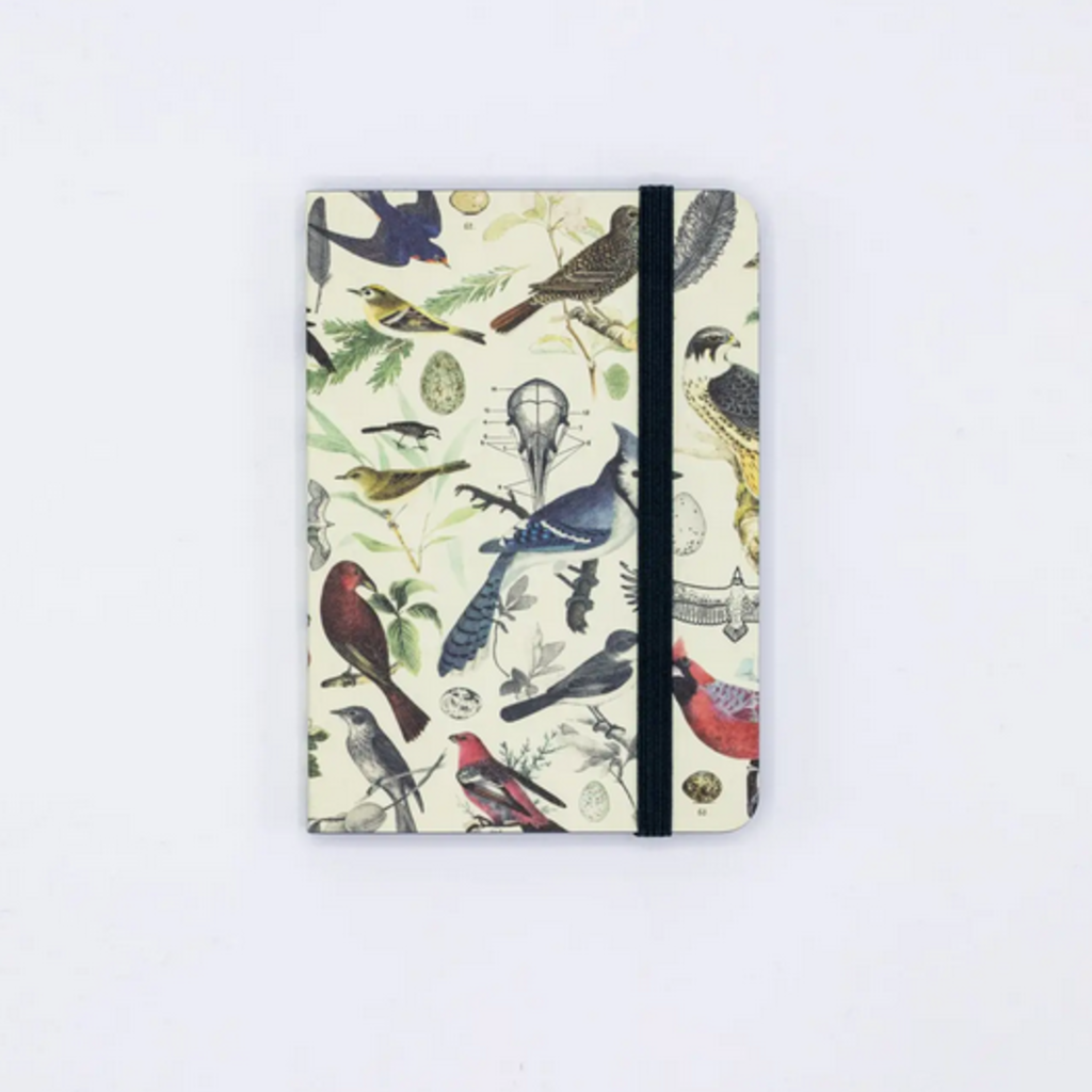 Softcover Notebook: Birds & Feathers
