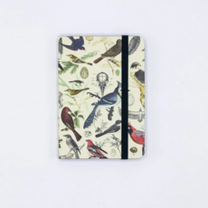 Cognitive Surplus Softcover Notebook: Birds & Feathers
