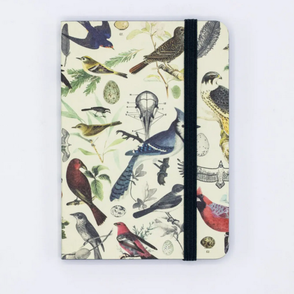 Softcover Notebook: Birds & Feathers