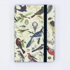 Cognitive Surplus Softcover Notebook: Birds & Feathers