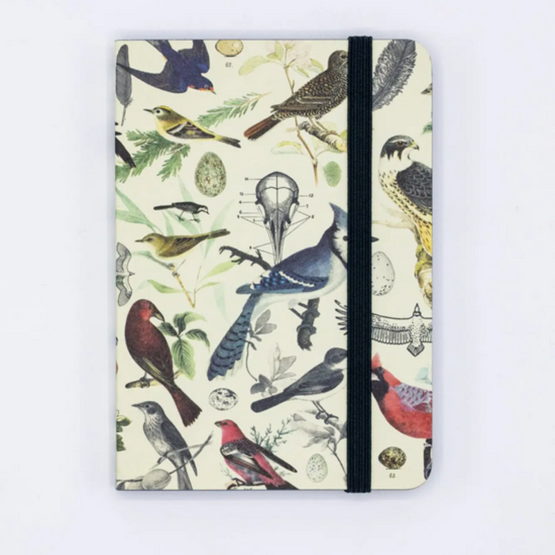 Cognitive Surplus Softcover Notebook: Birds & Feathers