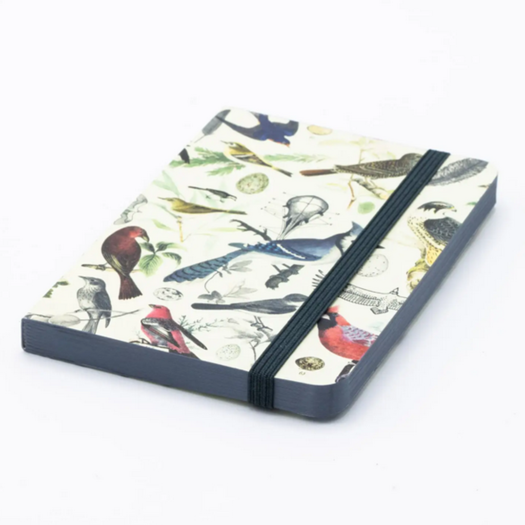 Cognitive Surplus Softcover Notebook: Birds & Feathers