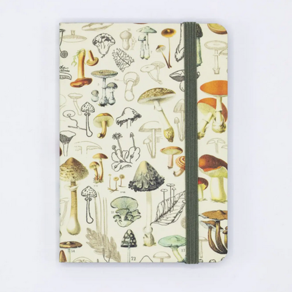 Softcover Notebook: Woodland Mushrooms