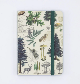 Softcover Notebook: Into the Forest