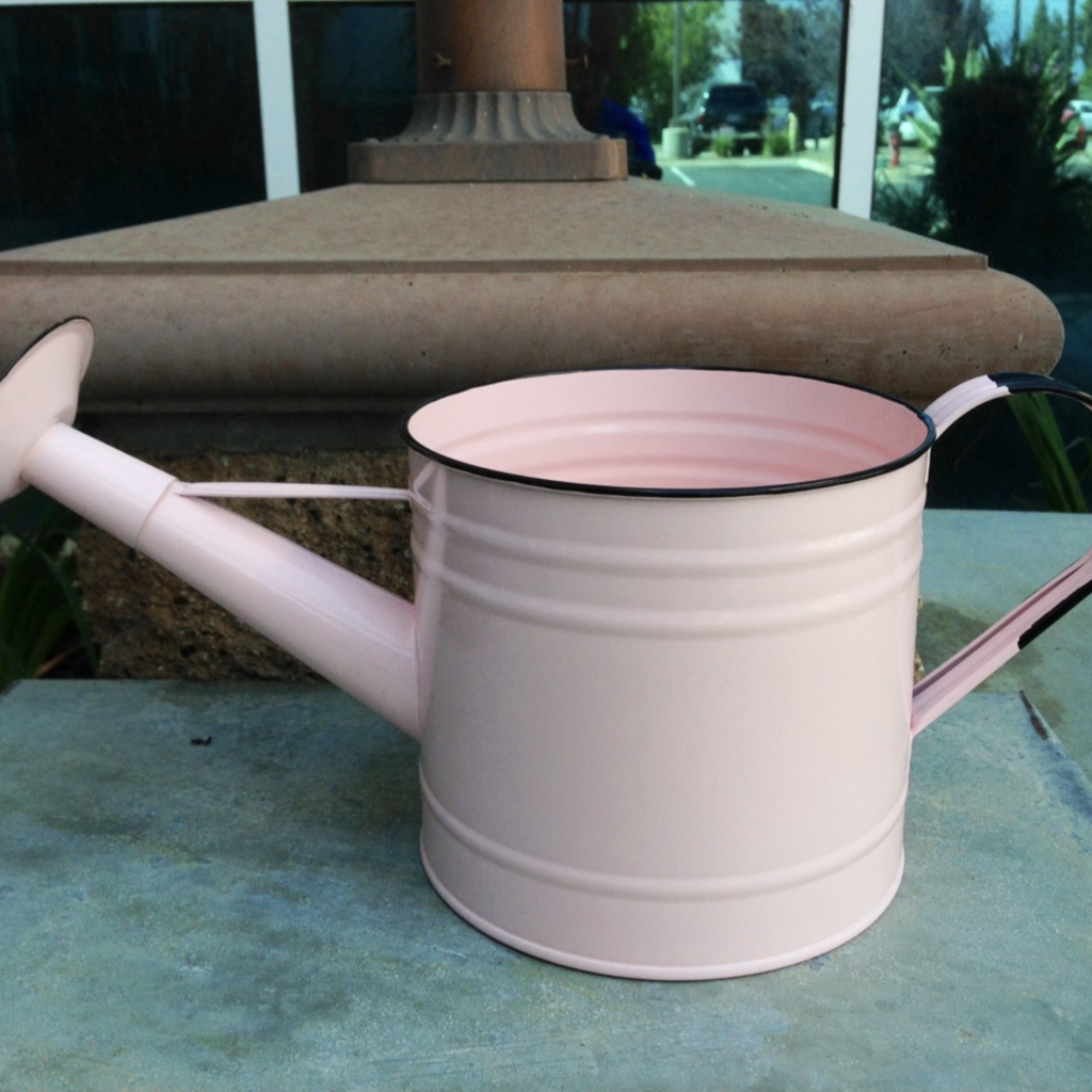 Enamel Watering Can: Pink