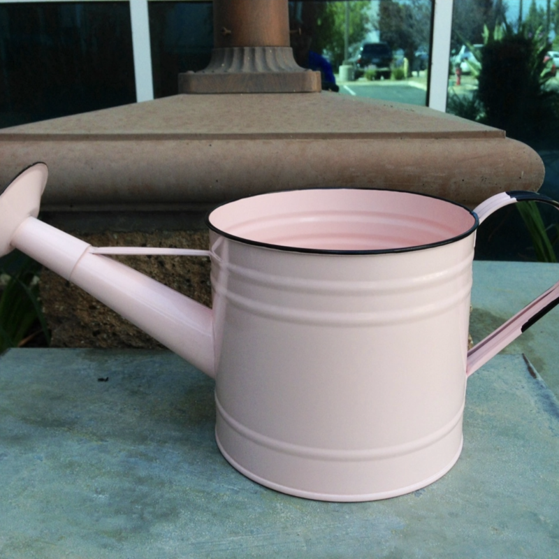 Home Kreation By KK Enamel Watering Can: Pink